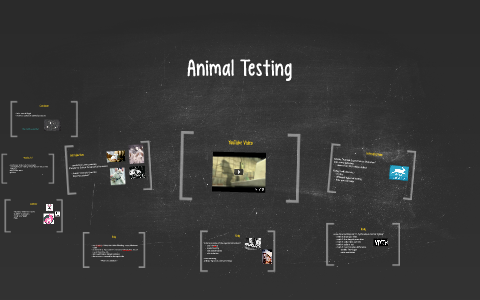 Animal Testing by kami krueger