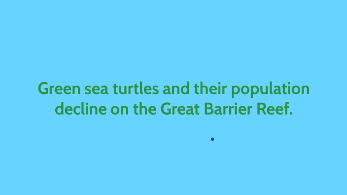 Green sea turtles by Sarah Winter on Prezi