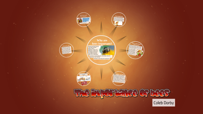 The importance of honeybees by Caleb Darby on Prezi
