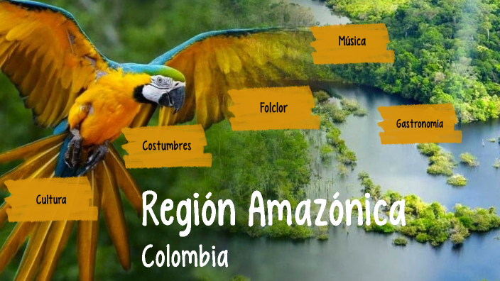 Amazonia Colombia by Camila Ospina on Prezi