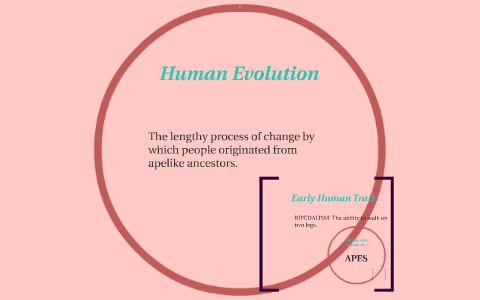 Human Evolution by demishia davis on Prezi