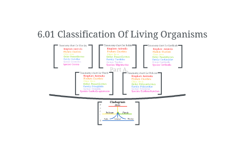 Taxonomy Chart Living Things