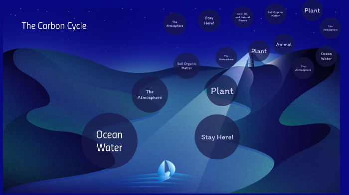 The Carbon Cycle by Allan Fernandez on Prezi