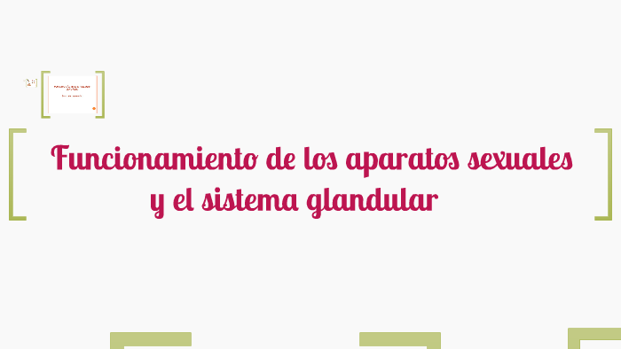 Funcionamiento De Los Aparatos Sexuales By Alma Dávalos 9298