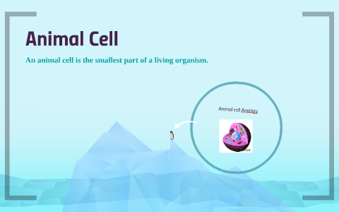 animal cell by ashley heaven on Prezi