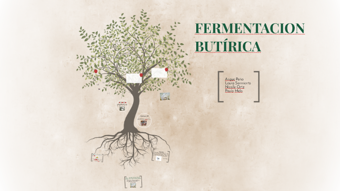 Fermentacion ButÍrica By Laura Sarmiento On Prezi 8551