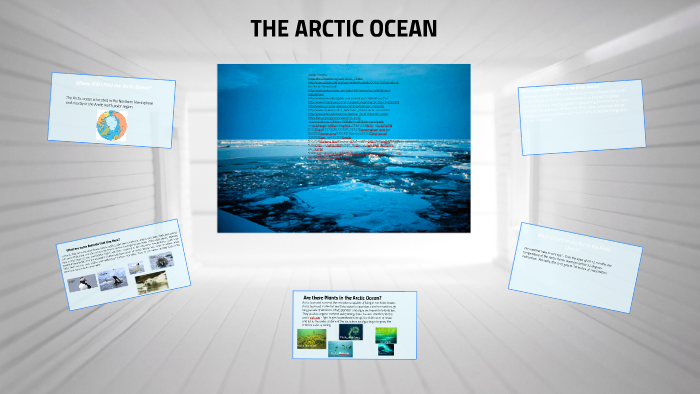 The Arctic Ocean by claudia w on Prezi