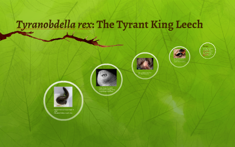 Tyrant King Leech Discovered, Attacks Orifices