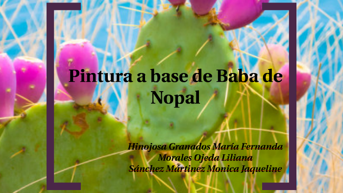 Pintura a base de baba de Nopal by Fer Hinojosa on Prezi