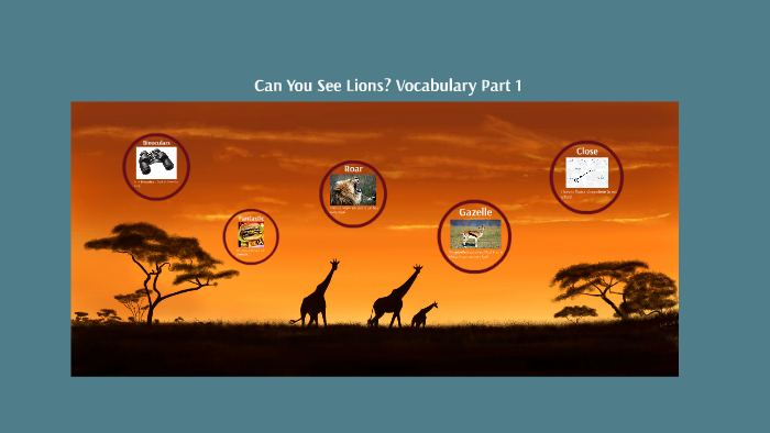 Can You See Lions? Vocabulary Part 1 by B. Scott MacEslin