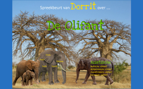 Spreekbeurt Dorrit, Olifanten by Aernoud de Vries on Prezi