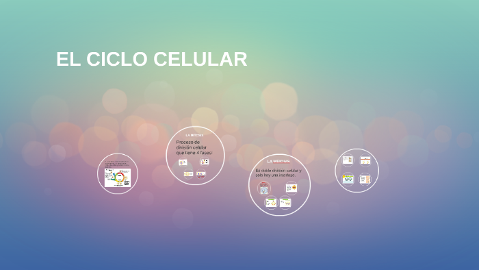 EL CICLO CELULAR by Paz Alvarado on Prezi