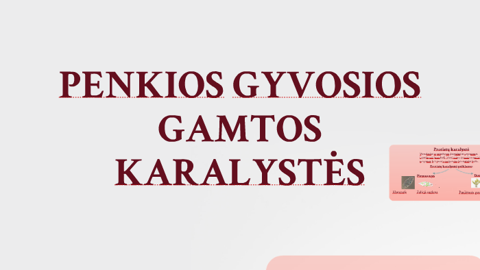 7 Kl Organizmu Karalystes By Danguole Vaznele