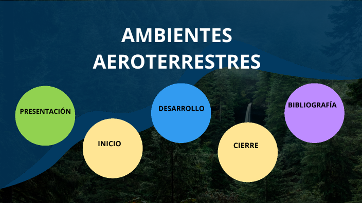 AMBIENTES AEROTERRESTRES By María Antonella Windauer On Prezi