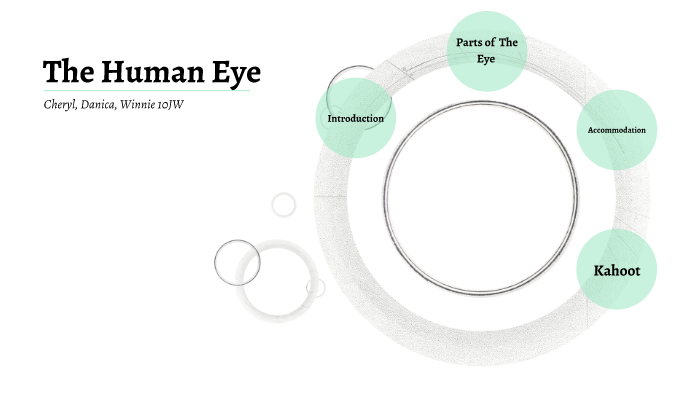 The Human Eye by cheryl lim on Prezi