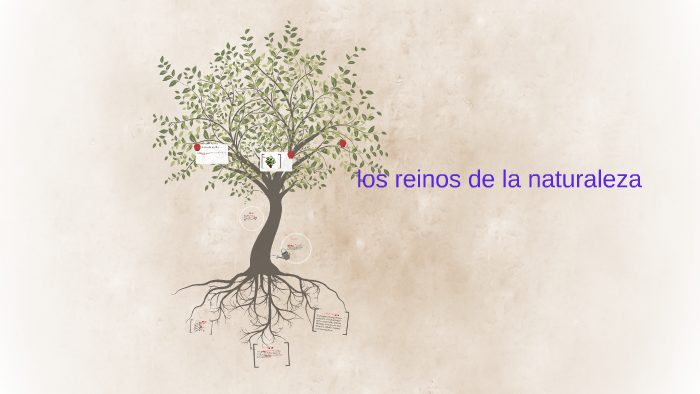 los reinos de la naturaleza by lilibeth alcivar on Prezi