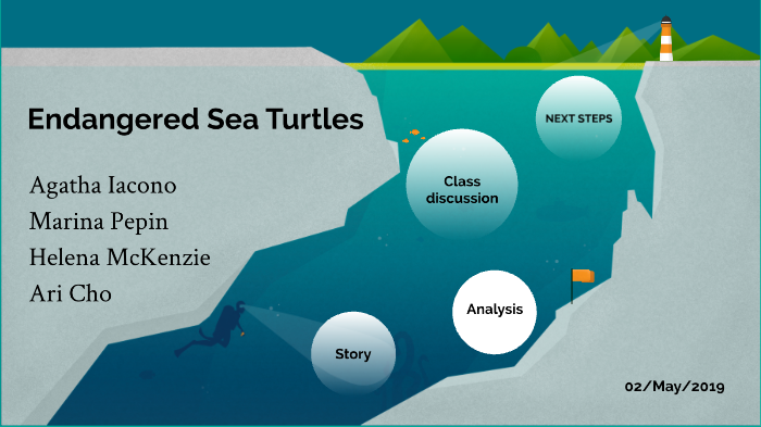 Endagered sea turtle by Ari Cho on Prezi