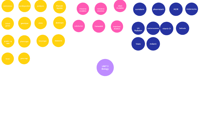 Bio Unit 3 Mind Map by Rachael Azrialy on Prezi