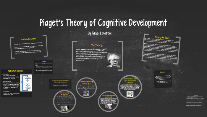 Piaget 039 S Theory Of Cognitive Development By Tarah Lawitzke On Prezi