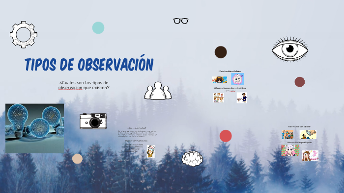 TIPOS DE OBSERVACION By Melanie Gomez On Prezi