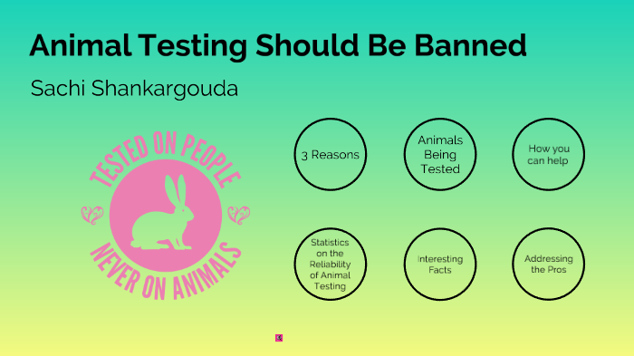 animal testing should be banned essay introduction