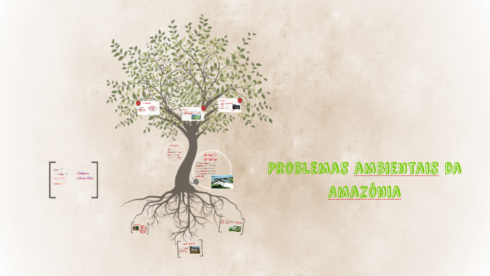 Problemas ambientais da Amazônia by Luis Felipe Piedade on Prezi