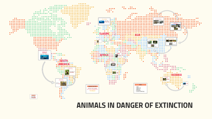 Animals In Danger Of Extintion By Carmen Marcos On Prezi