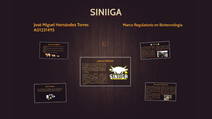 SINIIGA by Miguel Hernández on Prezi