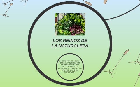 LOS REINOS DE LA NATURALEZAA by karol alejandra rojas on Prezi