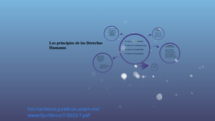 Los principios de las Derechos Humanos by beatriz palacios on Prezi