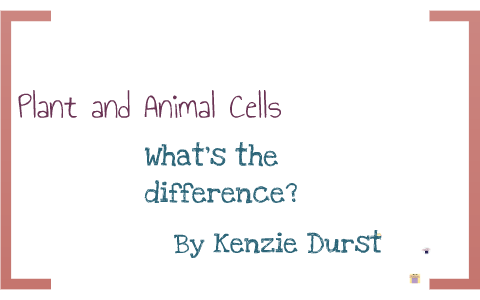 Plant and Animal Cells by Kenzie Durst on Prezi