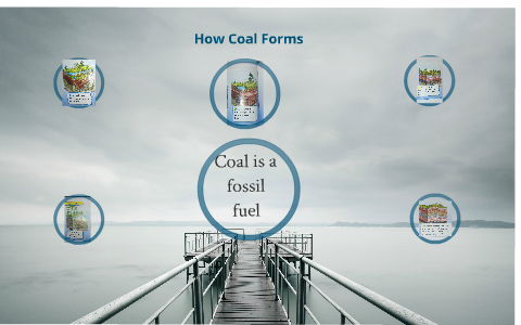 How coal forms by marcela simmons on Prezi