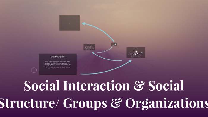 Social Interaction & Social Structure/ Groups & Organization by Leah ...