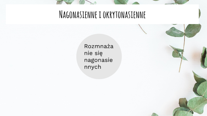 Nago nasienne i okryto nasienne by MKW pl on Prezi