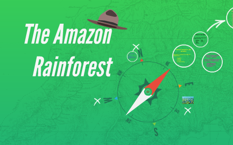 The Amazon Rainforest by joseph andrews on Prezi