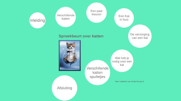 spreekbeurt over katten!!!william van andel on prezi next