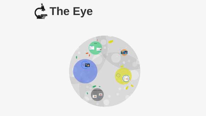 The Eye by P W on Prezi