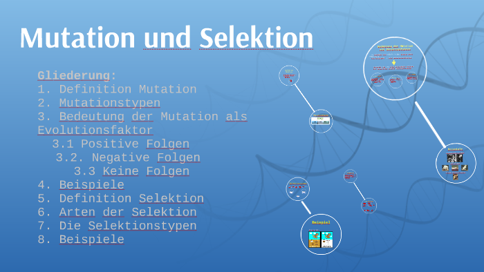 Mutation Und Selektion By Nora MN On Prezi mutation-und-selektion-by-nora-mn-on-prezi