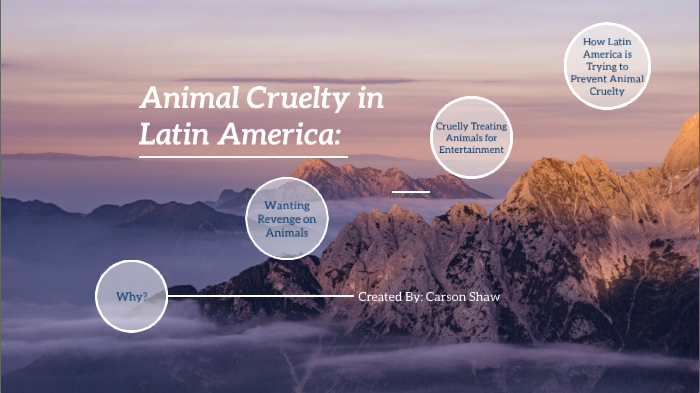 Animal Cruelty: Why are animals being treated cruelly in Latin America? by  Carson Shaw
