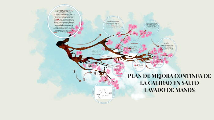PLAN DE MEJORA CONTINUA DE LA CALIDAD EN SALUD by Antonio Avila on Prezi
