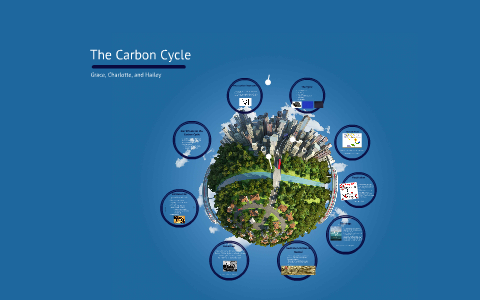 The Carbon Cycle by Grace Hills on Prezi