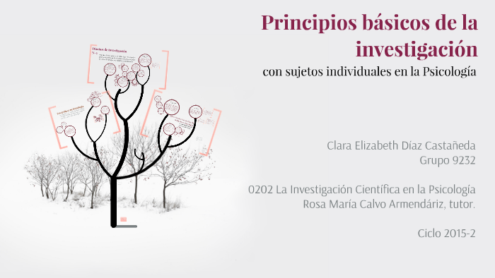 Principios básicos de la investigación by Elizabeth Diaz on Prezi