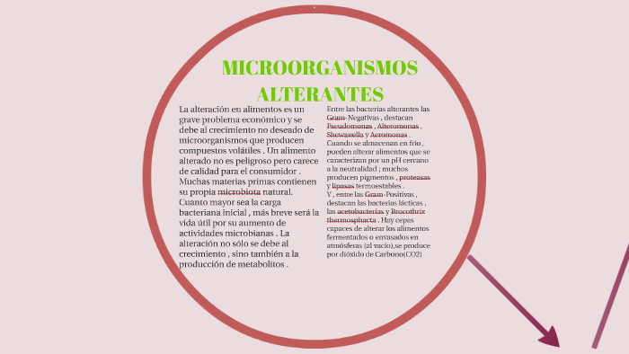 MICROORGANISMOS ALTERANTES by eva cela on Prezi