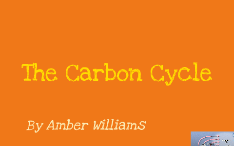Carbon Cycle by Amber Williams on Prezi