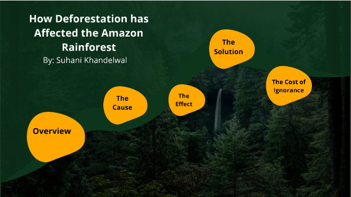 How deforestation has affected the Amazon Rainforest by Suhani Khandelwal