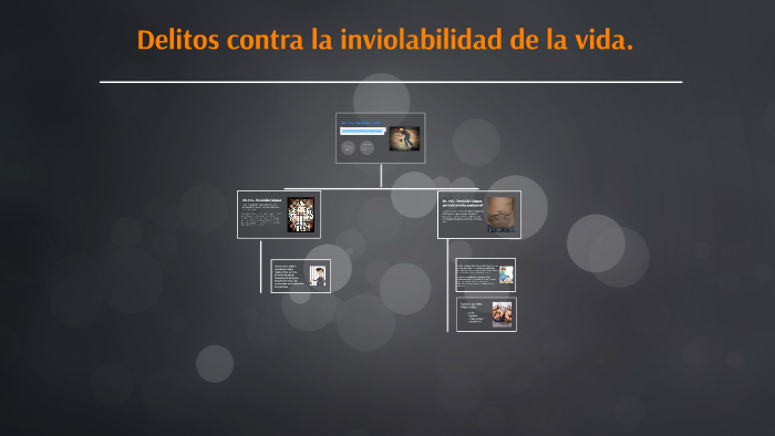 Delitos Contra La Inviolabilidad De La Vida By Maria Gracia Echeverria Delgado On Prezi 1137