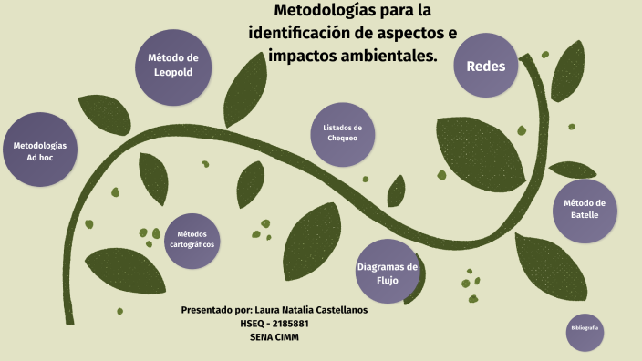 Metodologías Para La Identificación De Aspectos E Impactos Ambientales ...