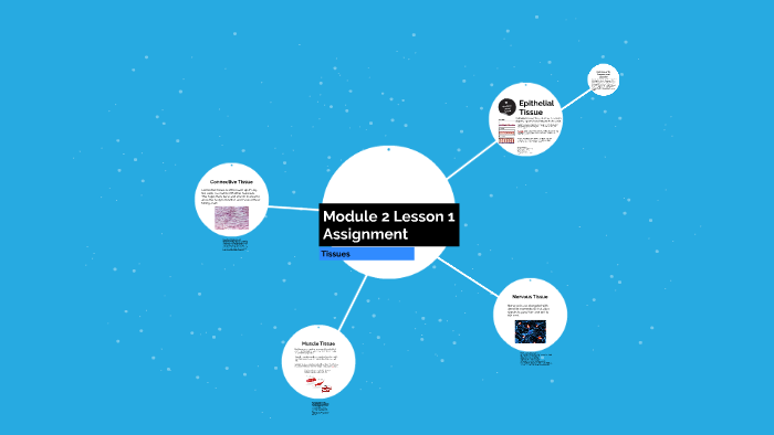 Module 2 Lesson 1 Assignment by Ben LaFevers on Prezi