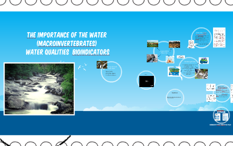 tHE IMPORTANCE OF THE WATER by Andrea Pihuave on Prezi