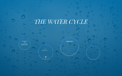 THE WATER CYCLE by bella evans on Prezi